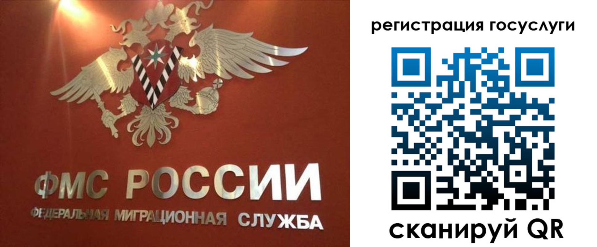 прописка ребенка в Дедовске